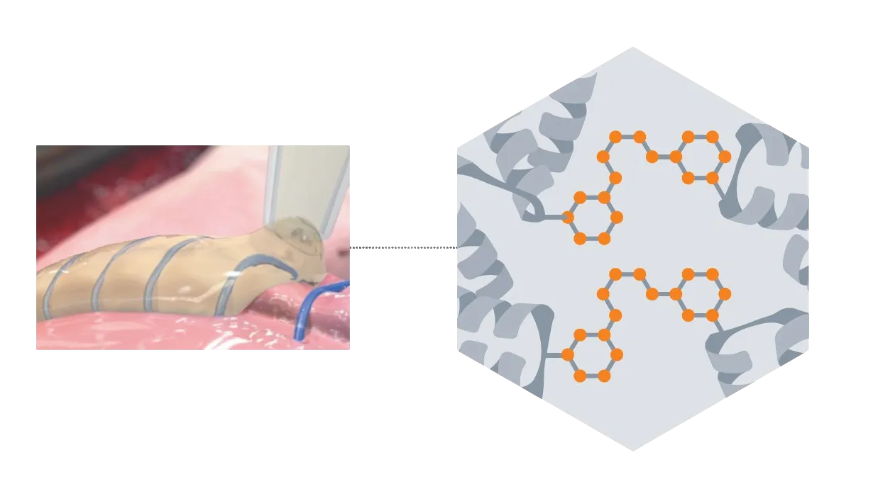 Illustration of the polyaldehyde crosslinking in formation of a surgical seal